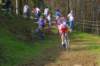 imgp6918_small.jpg
