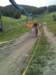 img_1476_small.jpg