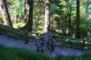 imgp6362_small.jpg