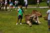 imgp6365_small.jpg