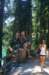 imgp6368_small.jpg