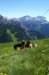 imgp6407_small.jpg