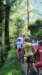 img_0350_small.jpg