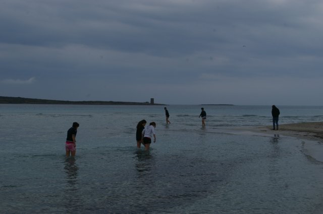 imgp8959.jpg