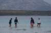 imgp8961_small.jpg