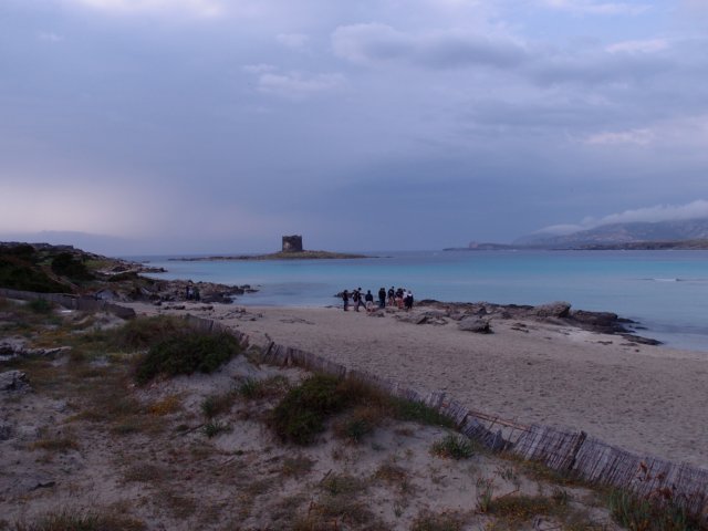 p4300361.jpg
