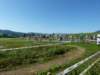 p1030246_small.jpg