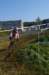 imgp7693_small.jpg
