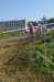 imgp7694_small.jpg