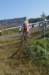 imgp7695_small.jpg