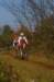 imgp7658_small.jpg