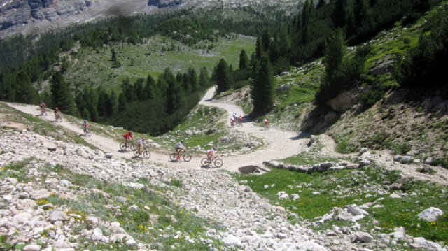 img_0230.jpg