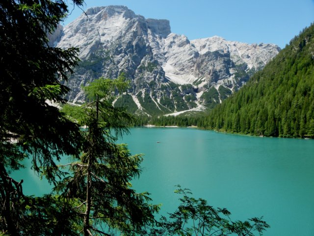 p1000558.jpg