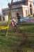 imgp8378_small.jpg