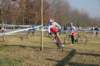 img_6442_small.jpg