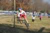 img_6596_small.jpg