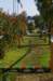 imgp7432_small.jpg