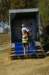 imgp7440_small.jpg