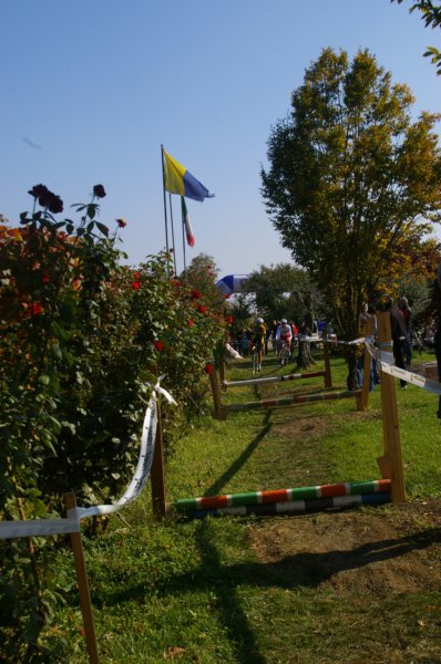 imgp7452.jpg