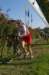 imgp7462_small.jpg