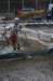 imgp8369_small.jpg