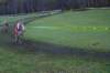 imgp7543_small.jpg