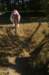 imgp7413_small.jpg