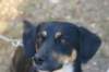 imgp7417_small.jpg
