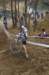 imgp7968_small.jpg