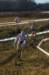 imgp8161_small.jpg