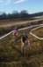 imgp8165_small.jpg